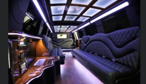 14 Passenger Limo And Party Bus