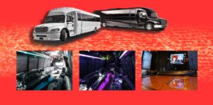 14 Passenger Limo And Party Bus