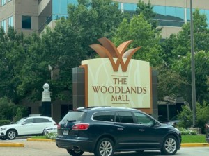 Houston The Woodlands