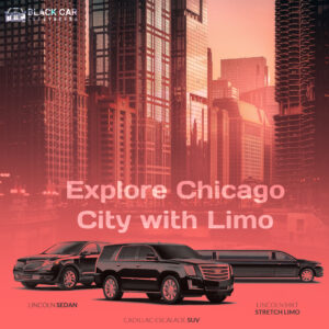 Explore Chicago City with Limo Service