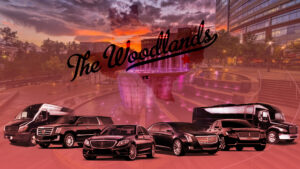 Car Service Woodlands