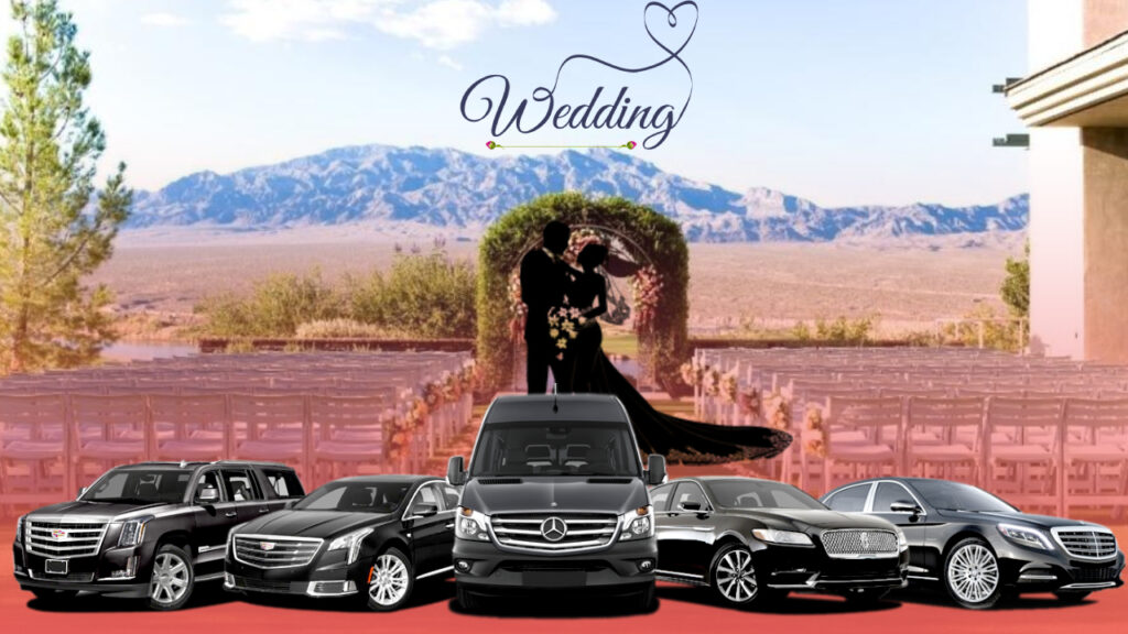 Hourly Wedding Transportation in Chicago