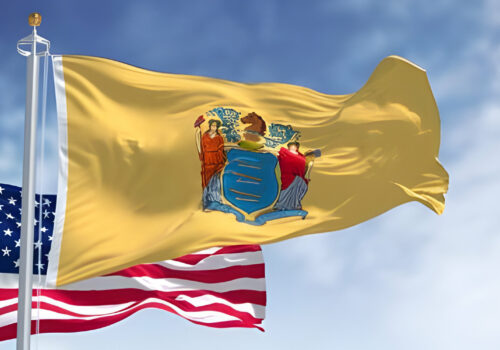 The New Jersey state flag